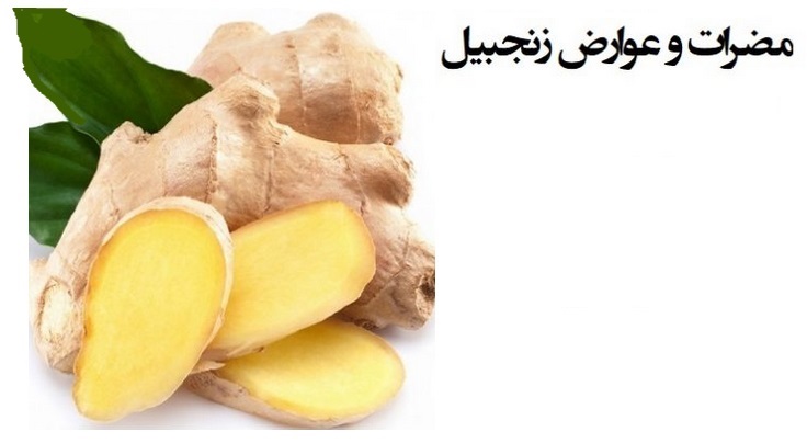 خطرات و مضرات زنجبیل