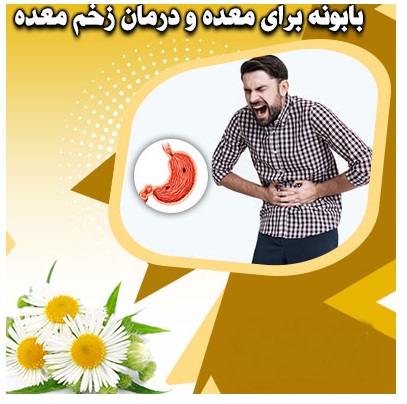 برای درمان زخم معده چای را با روش زیر مصرف نمائید