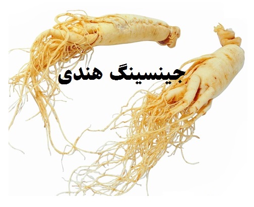 جینسینگ هندی (Withania somnifera)