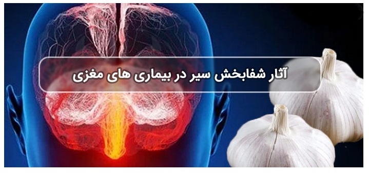 خاصیت آنتی اکسیدانی و ضد التهابی سیر خام 