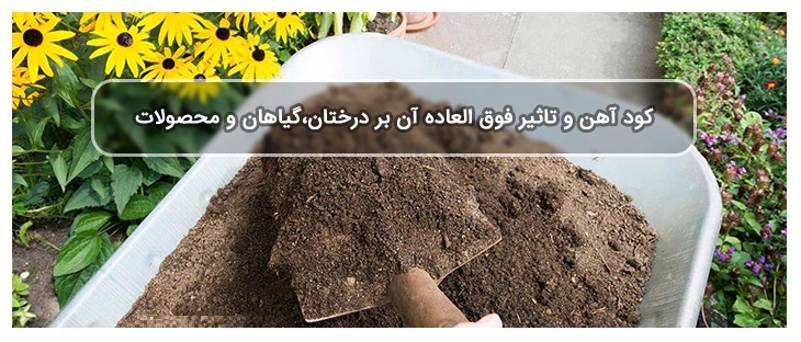 بهترین زمان برای دادن کود آهن به درختان