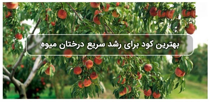 کود دهی درختان میوه