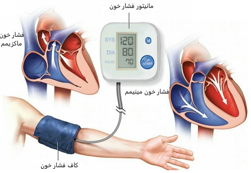 کنترل کردن بیماری های قلبی عروقی با لوبیا سبز