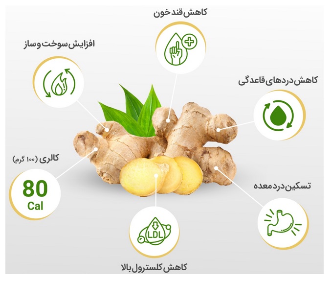 فایده فوق العاده و “خواص زنجبیل” به همراه عوارض مصرف زنجبیل